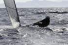 marinascarlinogbrbenainsliesailingupwindtowardselbafototaylorcns_small.jpg